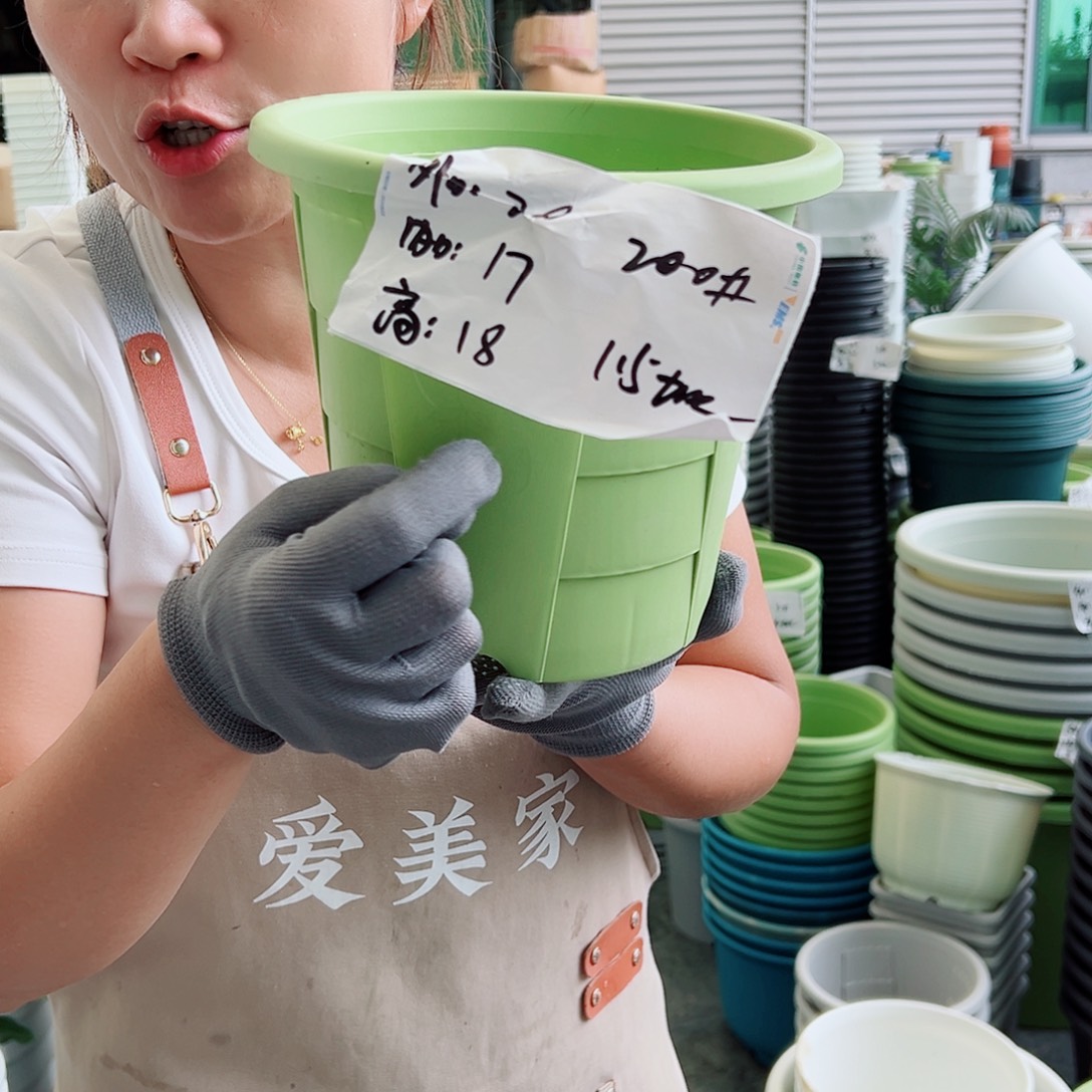 玫瑰200#果绿色5个无托