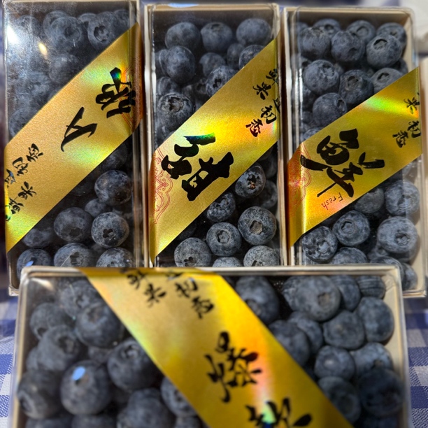 木盒蓝莓 山东省