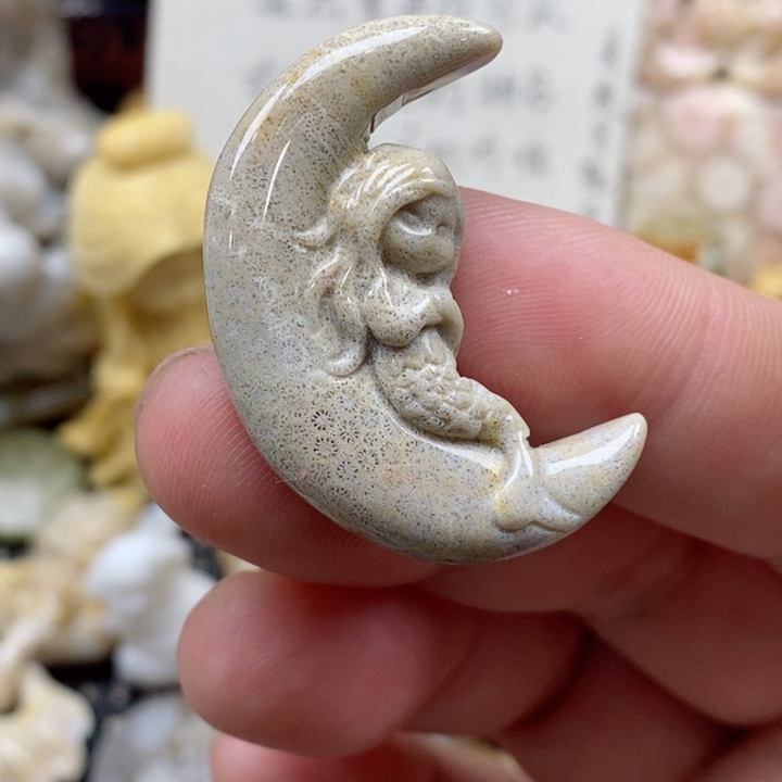 颈饰未镶嵌硅化珊瑚（珊瑚玉）小