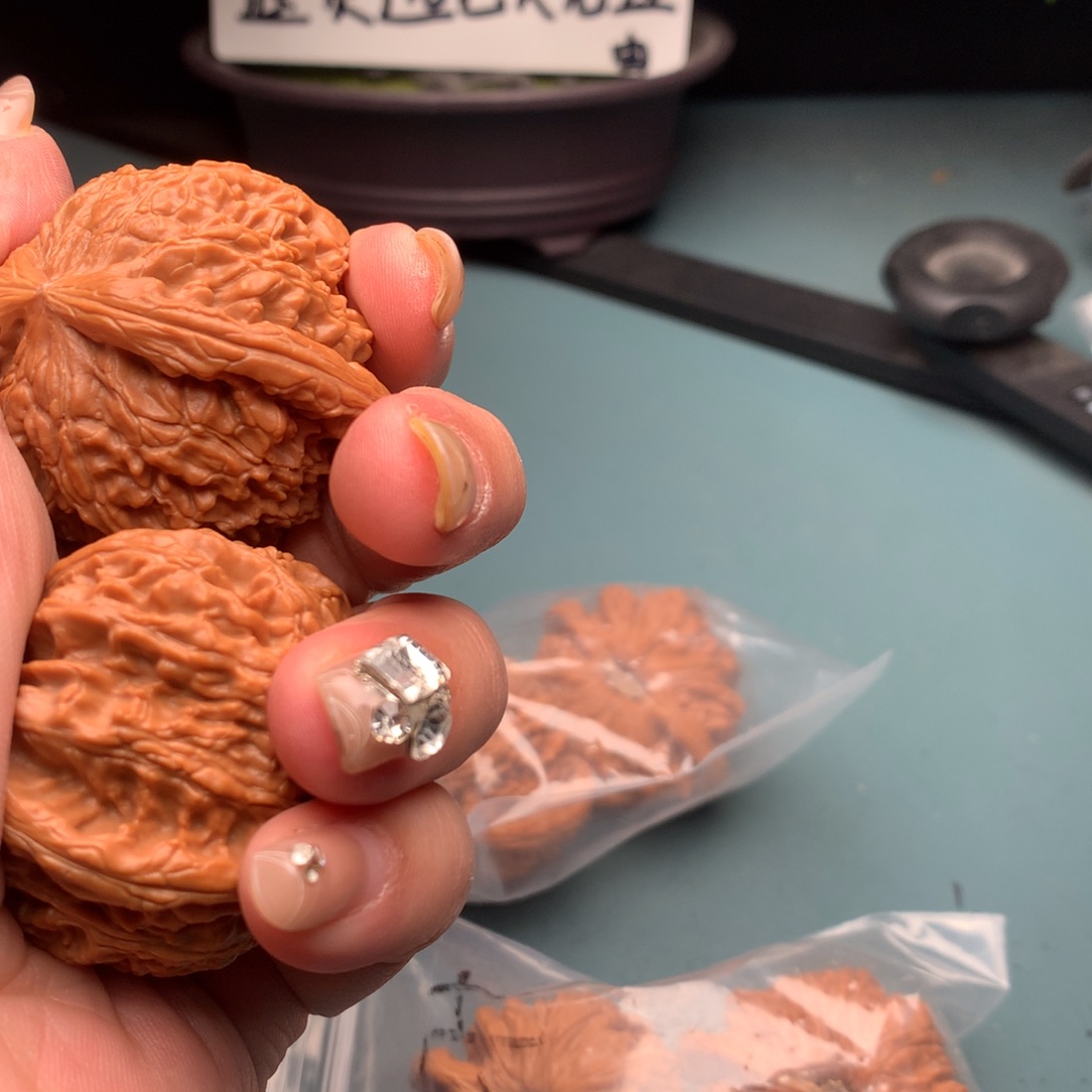 文玩核桃把件白狮子4647