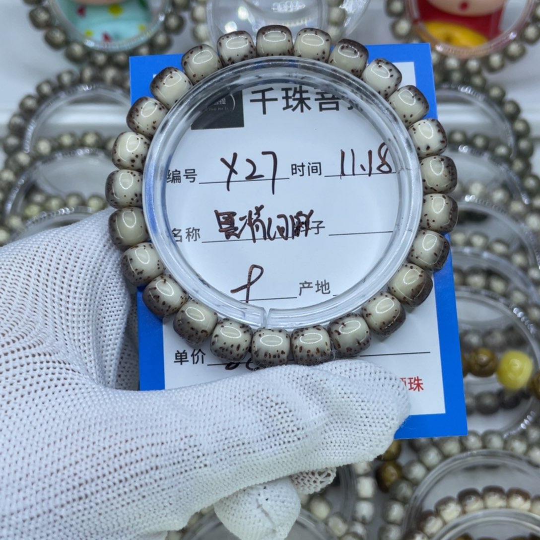 蓝***桉菩提籽类Y27黑背河豚