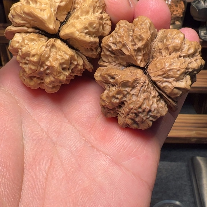 文玩核桃把件达摩古蟾三棱46mm