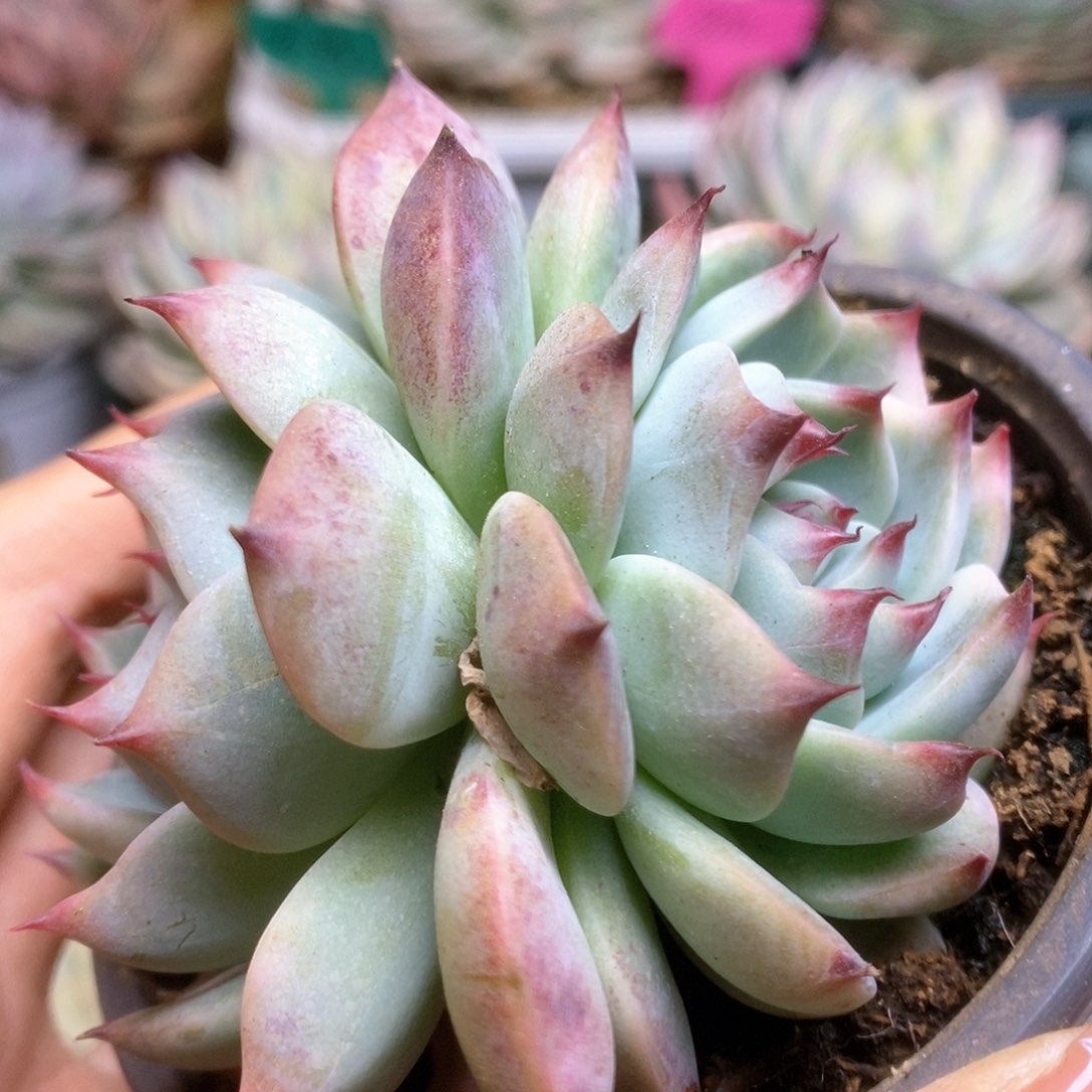 024锦锦锦锦锦锦锦