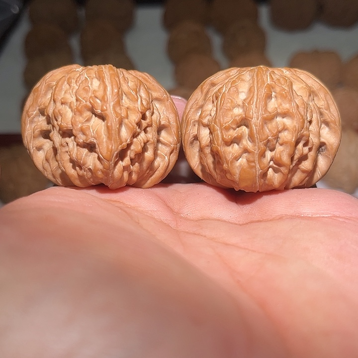 木44全品 正磨。    