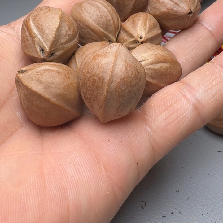 橄榄核手串?****r橄榄核666