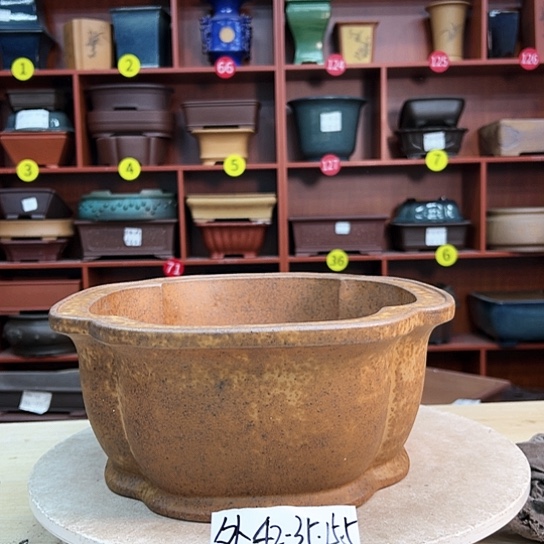 红陶用****7紫砂花盆里都藏满