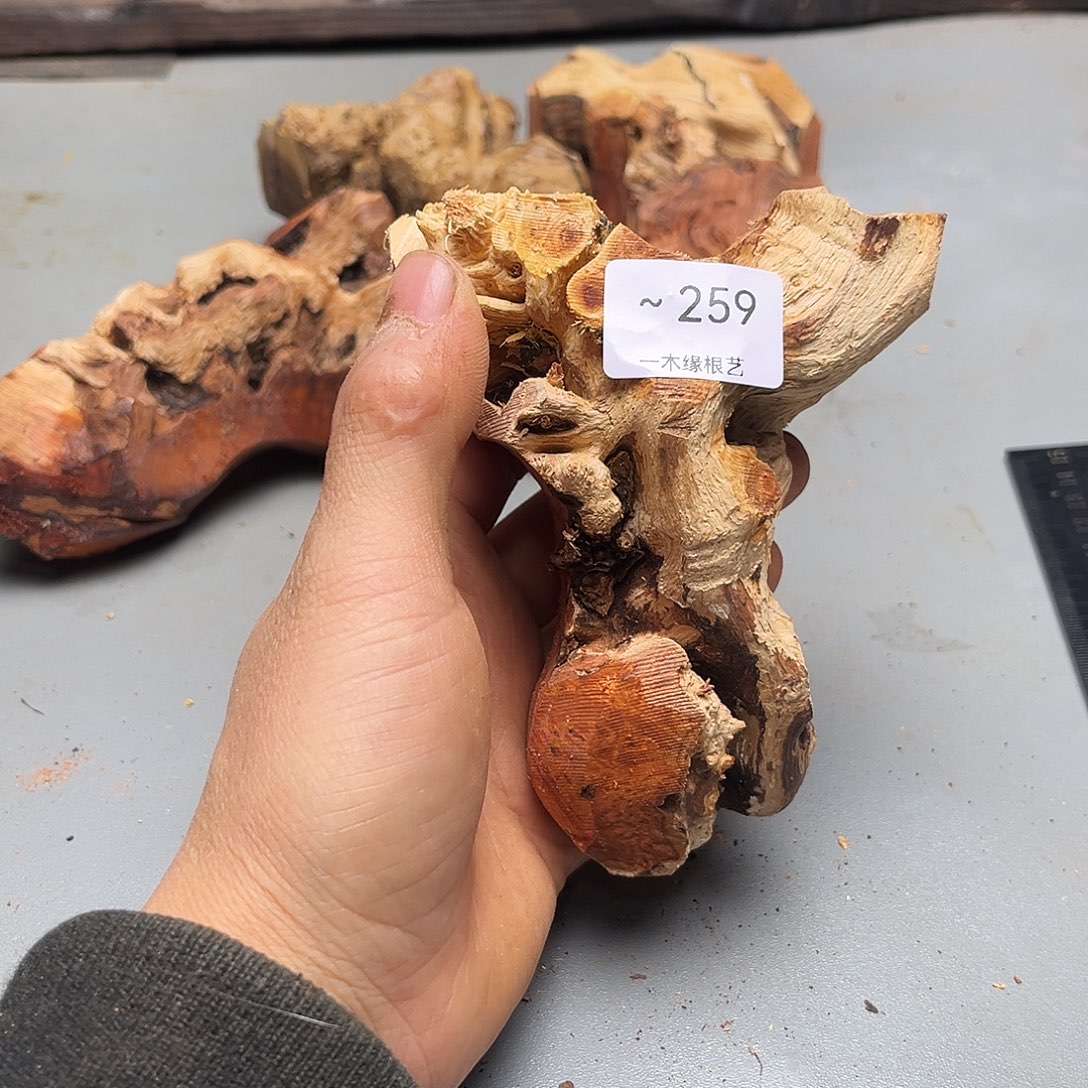 爱***客无花朵0000000000259