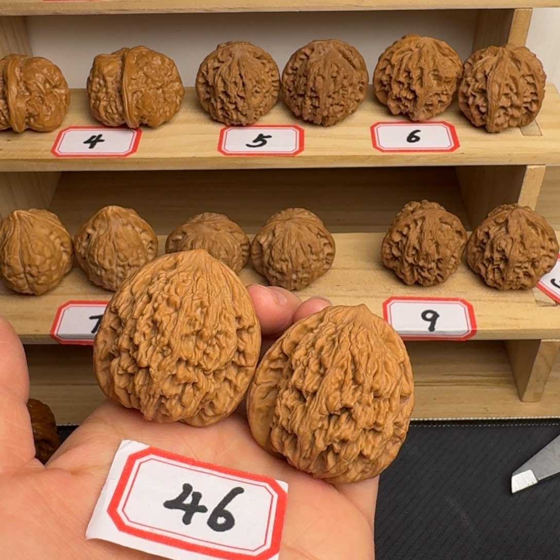 把件文玩核桃全品41尺虎头