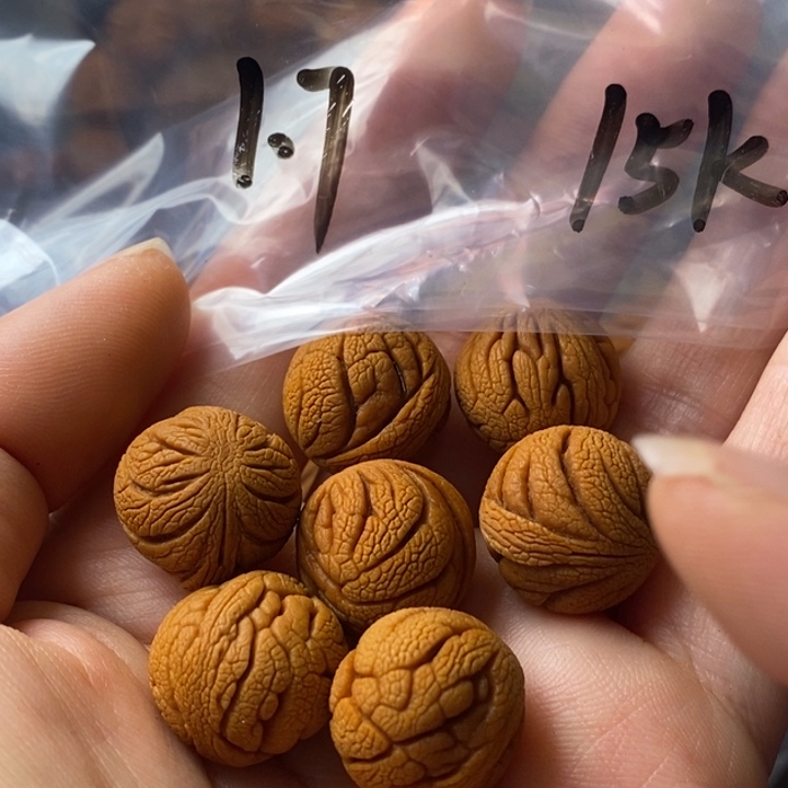 手串文玩核桃秦岭野生龙纹桃核17