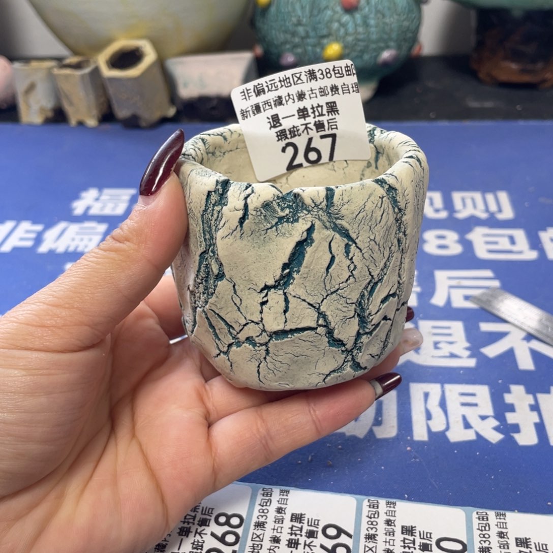 特价微瑕疵不退不换哦267