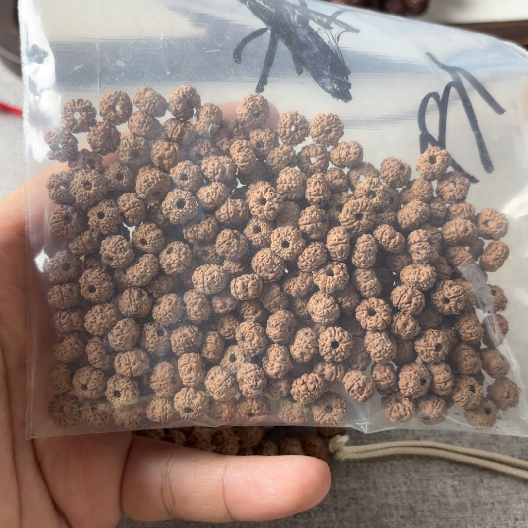 说***！金刚菩提吊坠平细散籽