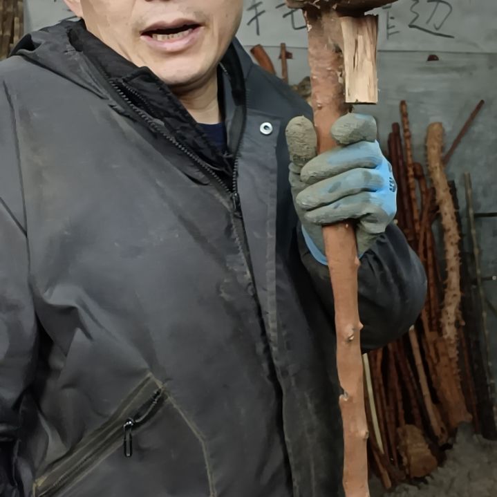 稳定木多****金贵州檬子木   铁马鞭   根艺  半成品