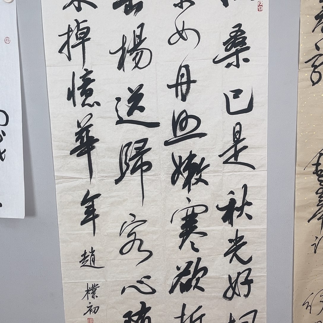 小***仙书法赵老师书法作品