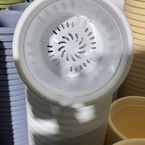 树脂四季4号无托纯白10个