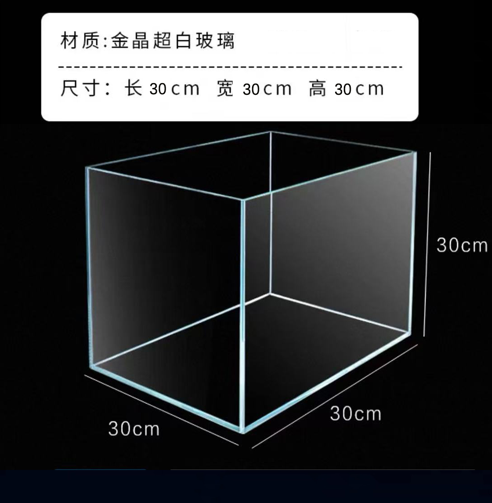乌龟鹰嘴龟爬宠玻璃缸长宽高各30cm