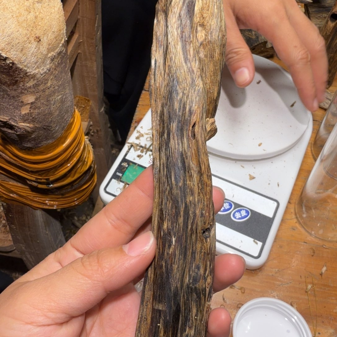 棋楠沉香白奇块料41克