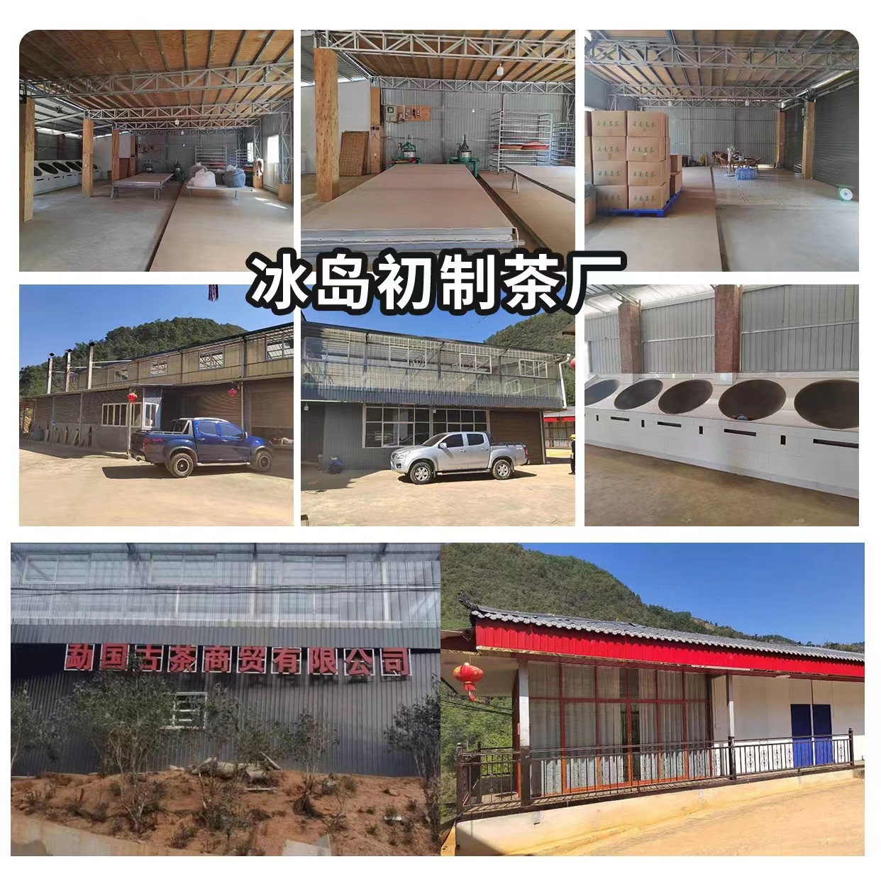 新粉专属高端龙珠大礼包（以主播口播为准）