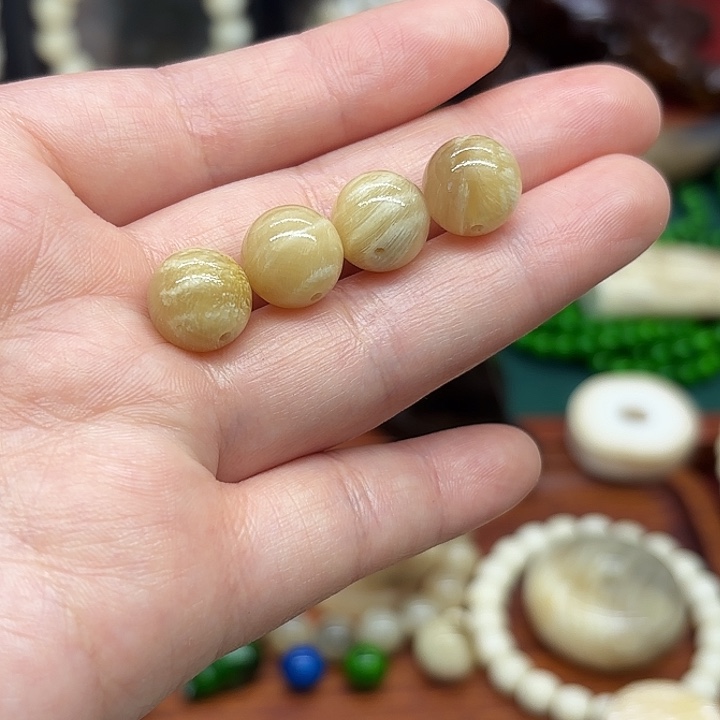 陶瓷12多宝牛一颗，五花肉一颗