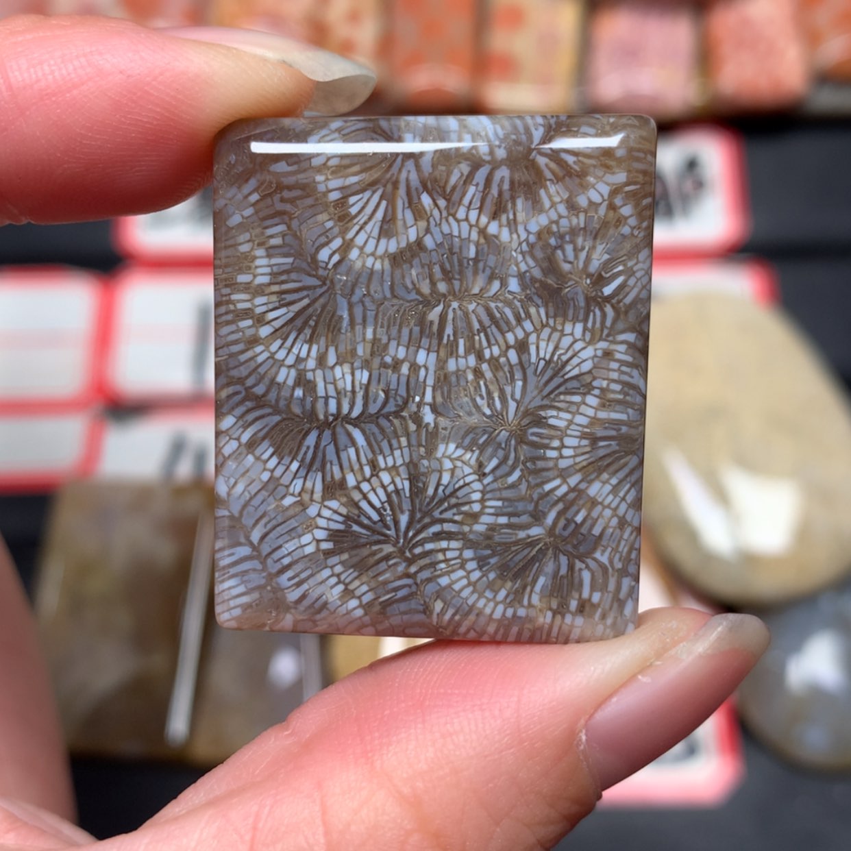 【闪购商品】未镶嵌颈饰硅化玉碧**跹