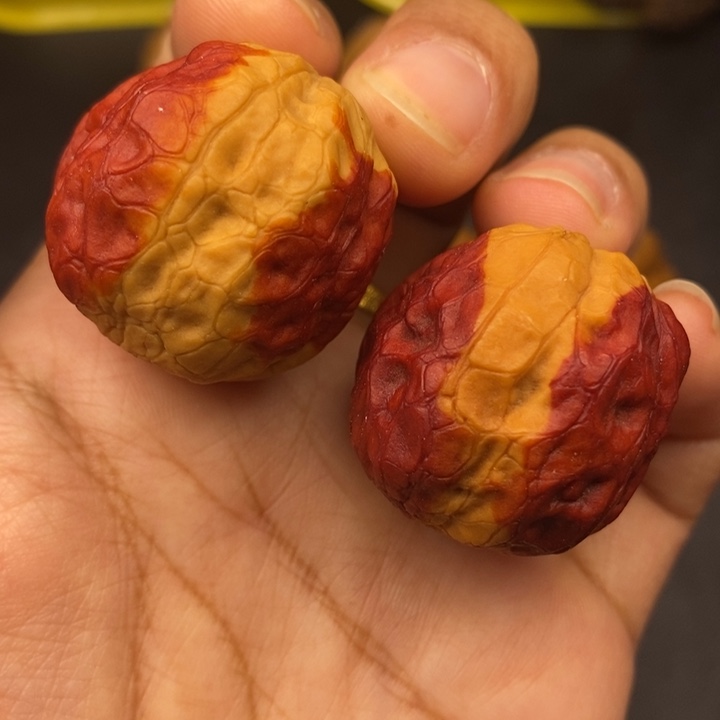 吊坠文玩核桃37尺方尊元宝