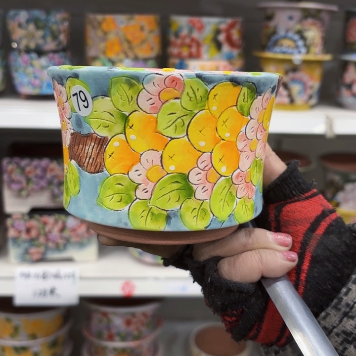 红陶琴****肉内口10左右