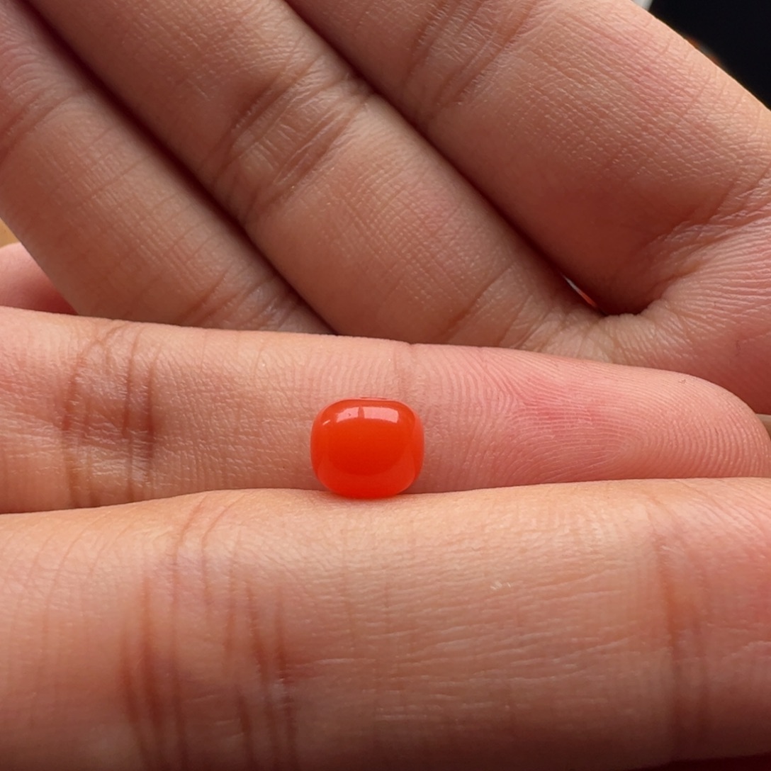 狍***狍南红玛瑙未镶嵌老型7x5.8