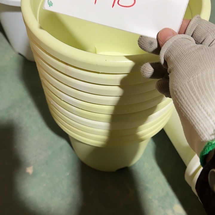 若***花串色4#口径25特价10个无托445