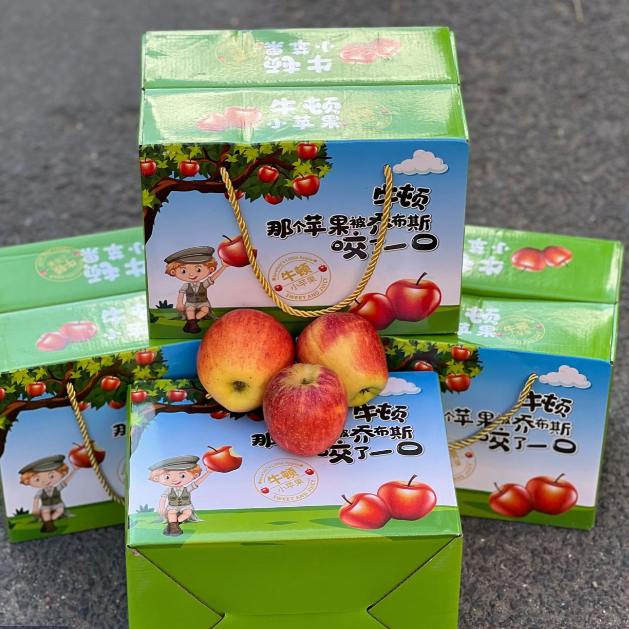 牛顿苹果礼盒沈阳