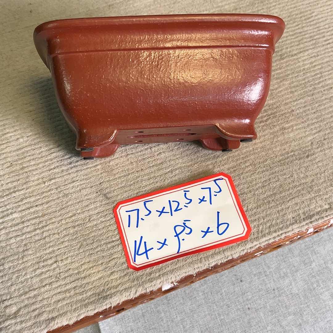 紫砂花盆烨*58866896589999