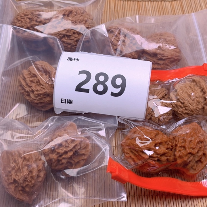 文玩核桃把件289号6对