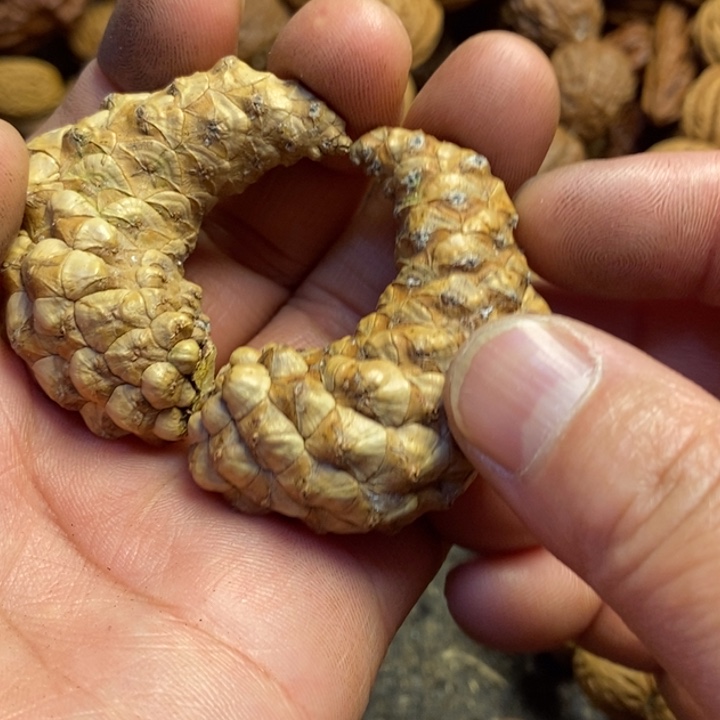 桃核吊坠东北特产71