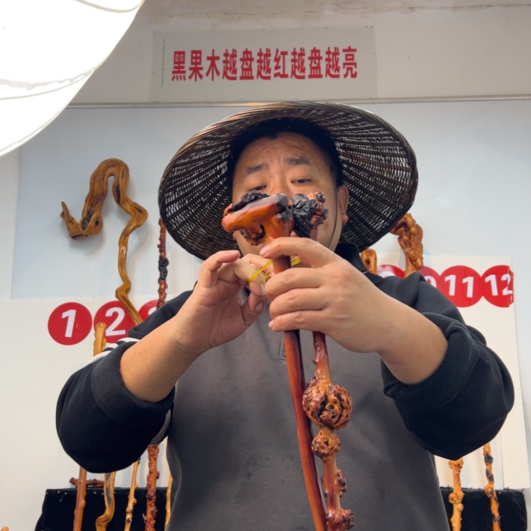 黑果木其他黑果木600