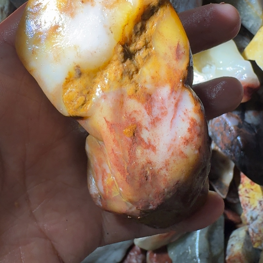 张***斋寿山石9988998899988