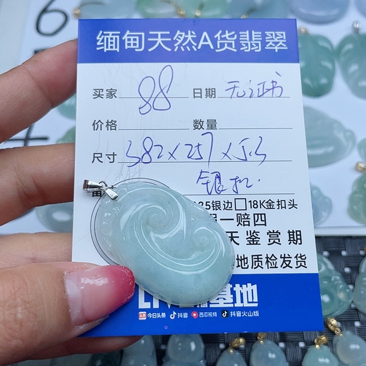 翡翠颈饰银S925镶嵌翡翠