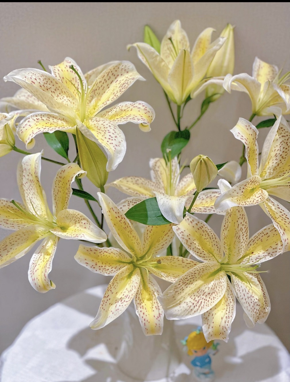 【老虎沐恩百合鲜花】云南产地直发 | 新鲜采摘
