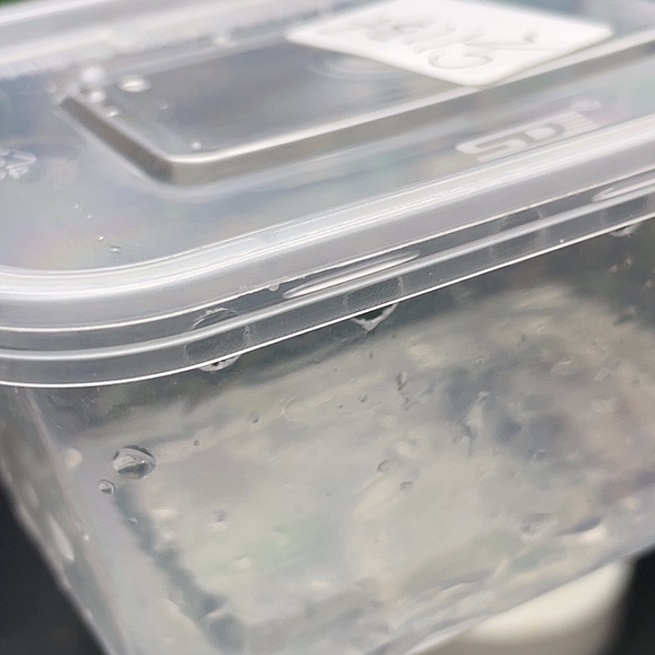 止***于老爷树蛙11号邮费
