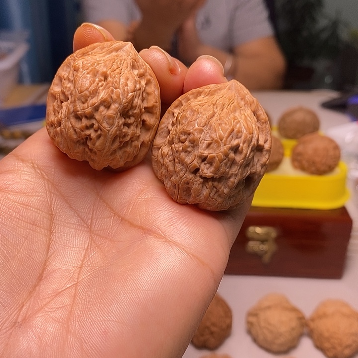 核桃37尺寸的金钱豹克重大