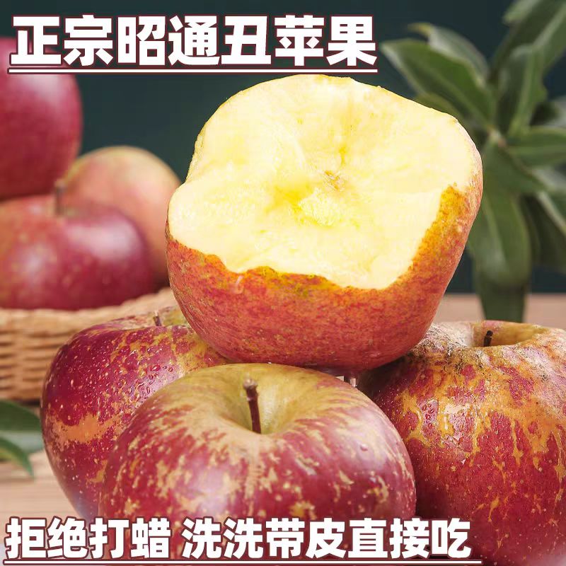 【昭通直发】云南正宗应季红苹果昭通冰糖心丑苹果新鲜脆甜多汁