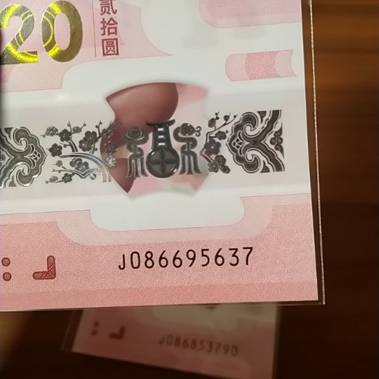 塑料蛇纪念钞 086695637