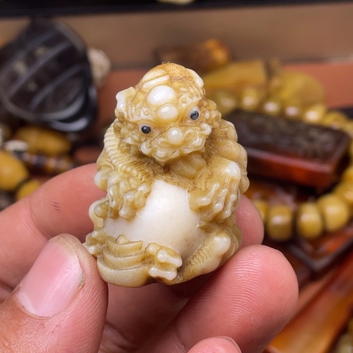 驼骨其他人工养殖