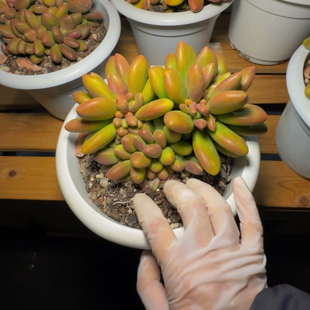 b b b b b b b b 16