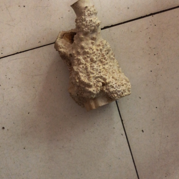 用***6木木料木料木料木料