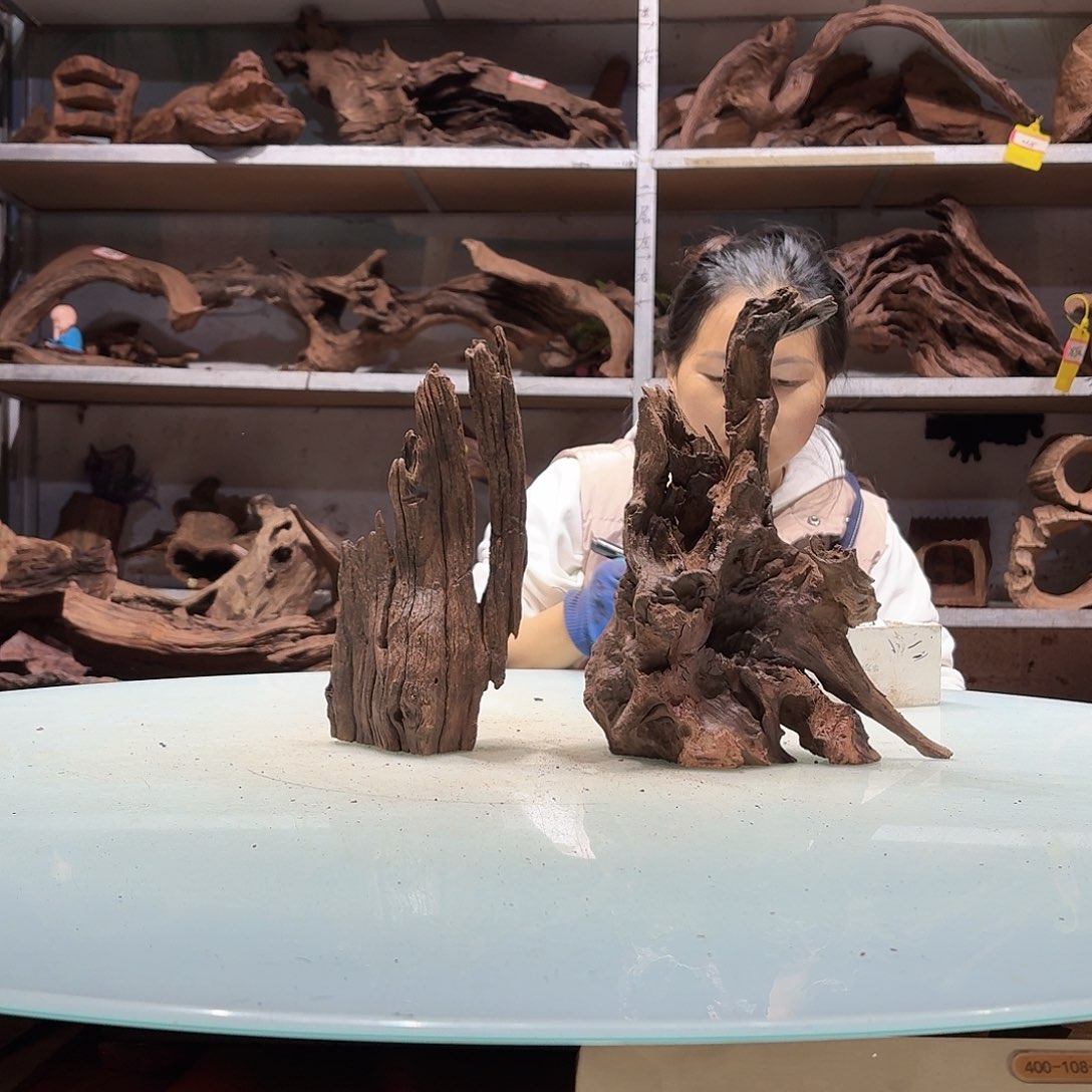 倍褚沉木不包损必褪色鱼**族5756-2