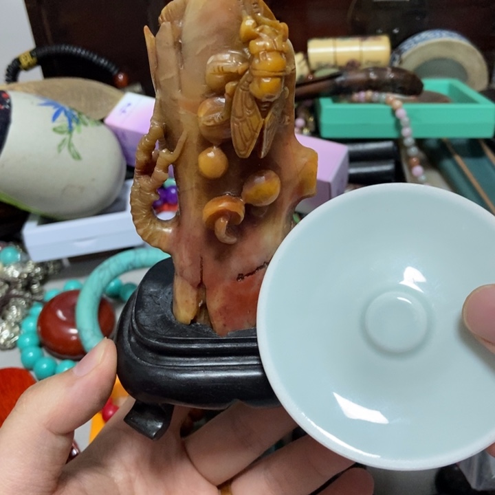 瓷片宝宝哈哈哈哈哈哈哈哈哈