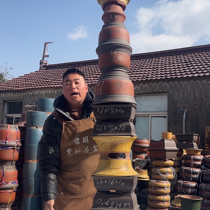 紫砂紫砂花盆盆栽