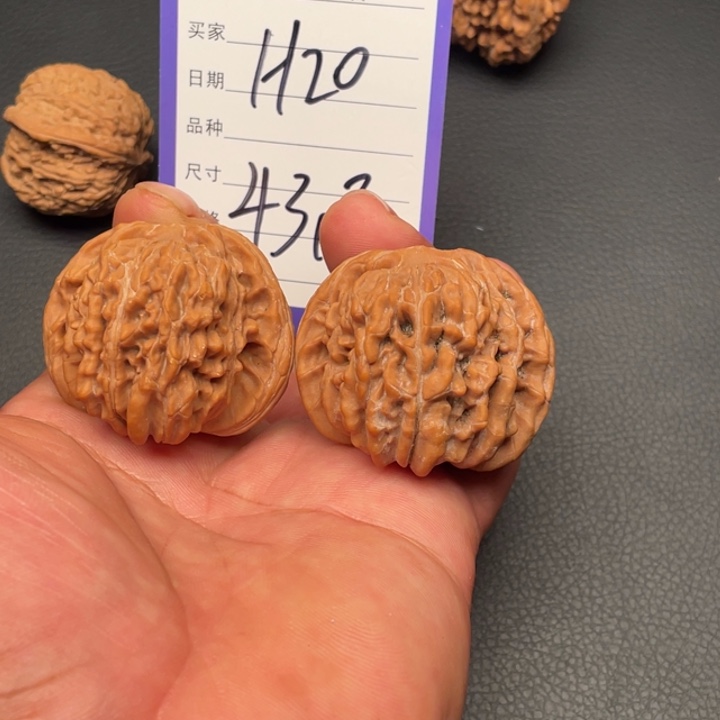 核桃四座楼43尺寸