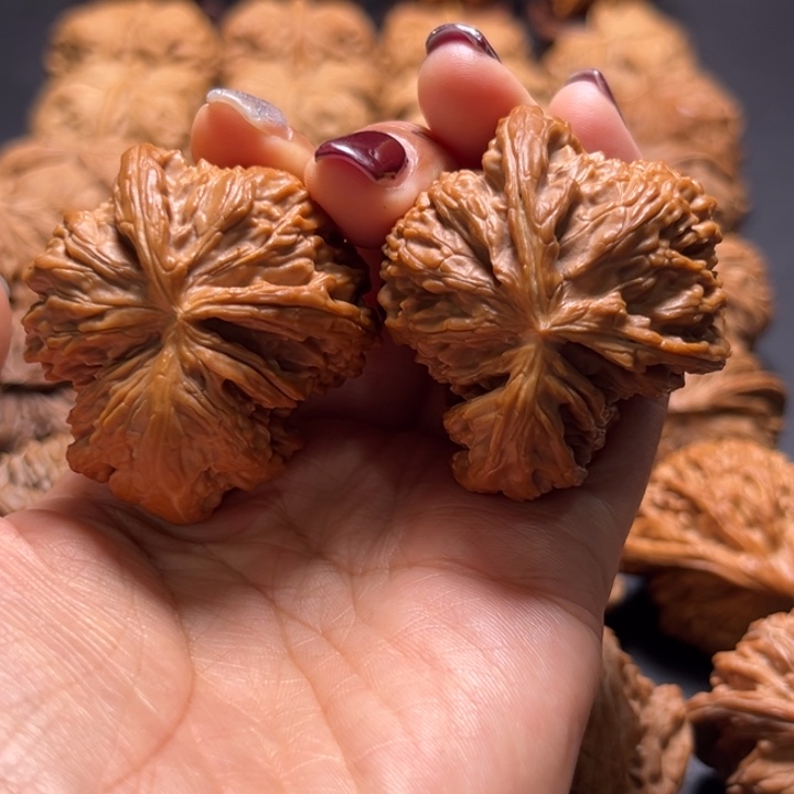 白狮子犀牛角核桃哈哈哈哈哈哈