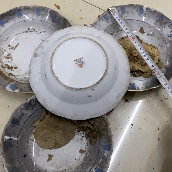 陶4个23厘米芙蓉花深盘