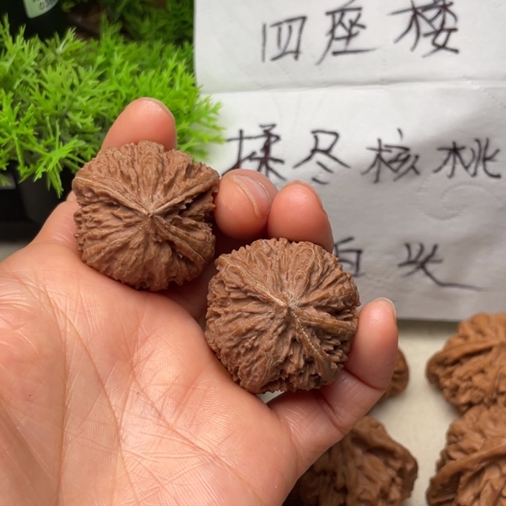 野生文玩核桃练手对子