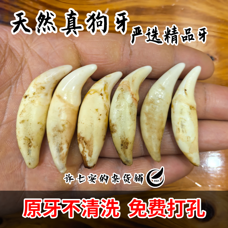 非金属棉绳项链 【直播间专享】4.0真黑狗牙獒牙项链男女挂坠狗牙齿